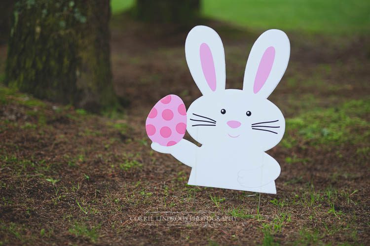 CLP_5283-Edit_Squamish Family Photographer