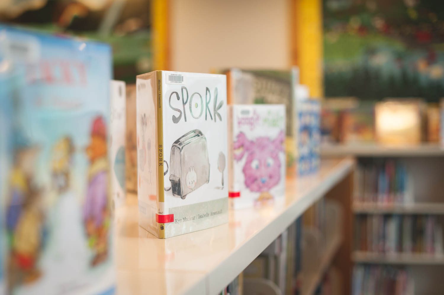 CLP_7219-Edit_Squamish Family Photographer