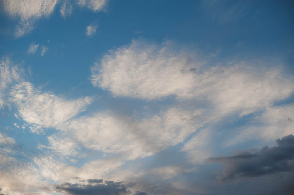CLP_0378-Edit_Squamish Family Photographer