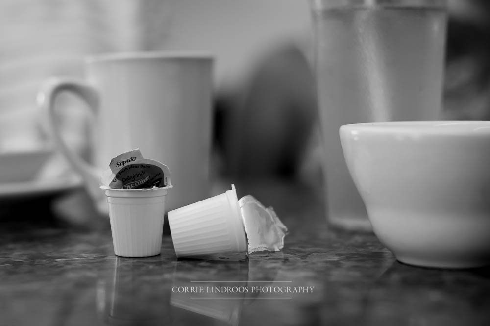 CLP_1112-Edit_Squamish Family Photographer