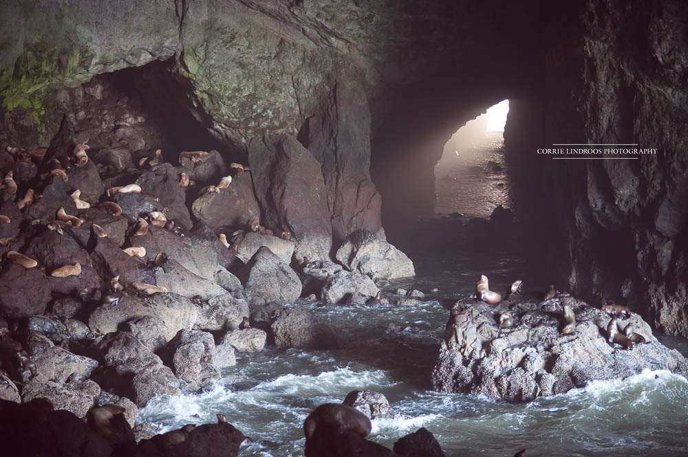 CLP_6998-Edit_Squamish Family Photographer